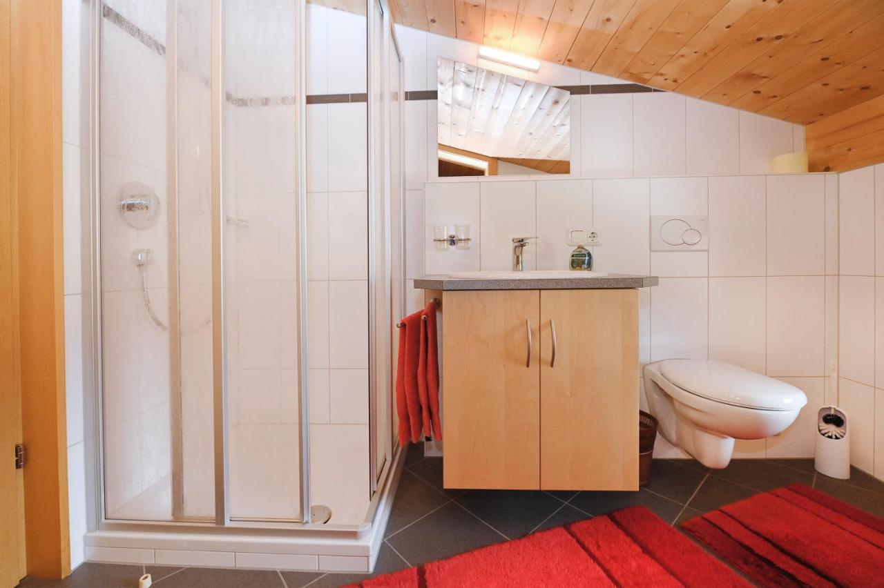 Ferienbauernhof Moosbrugger Apartment Schoppernau Ngoại thất bức ảnh